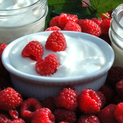 Greek-Style Yogurt – Brod & Taylor France