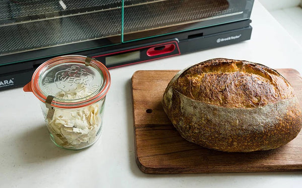 Dehydrating and Rehydrating Sourdough Starter | Brod & Taylor – Brod & Taylor France